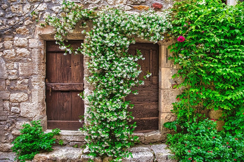 Floral Arches