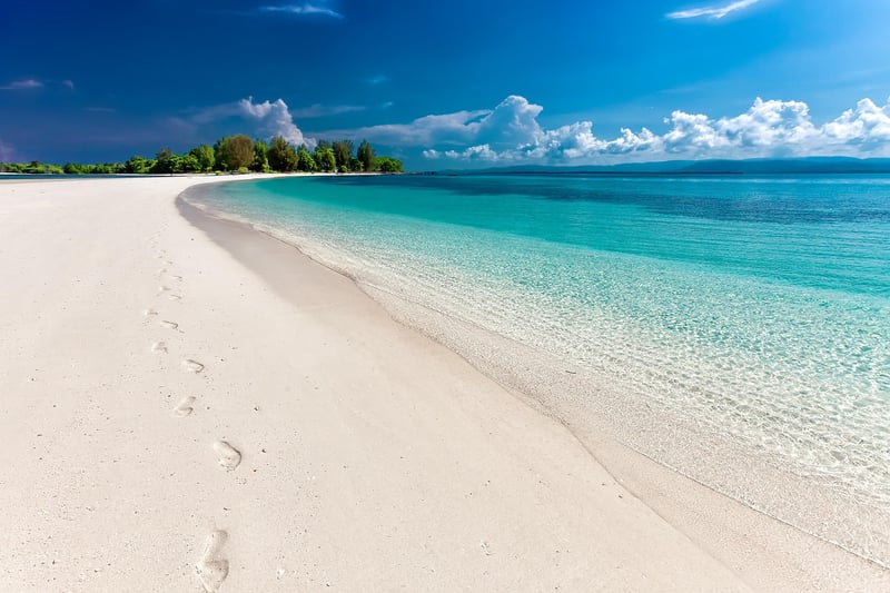Beach Buffet